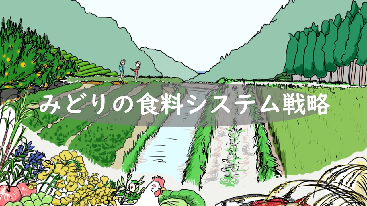 鹿児島で「環境にやさしい農産物」を一斉販売します！！