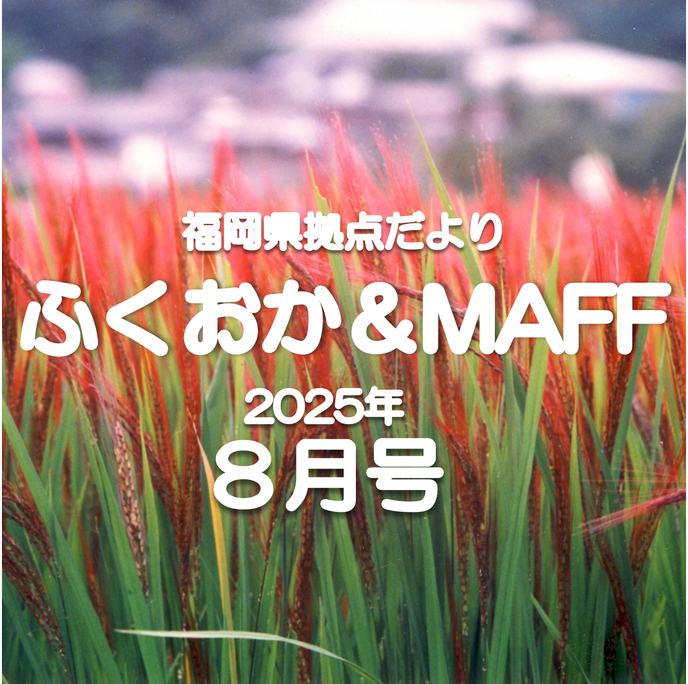 【みんなで棚田保全！】福岡県拠点だより８月号発行