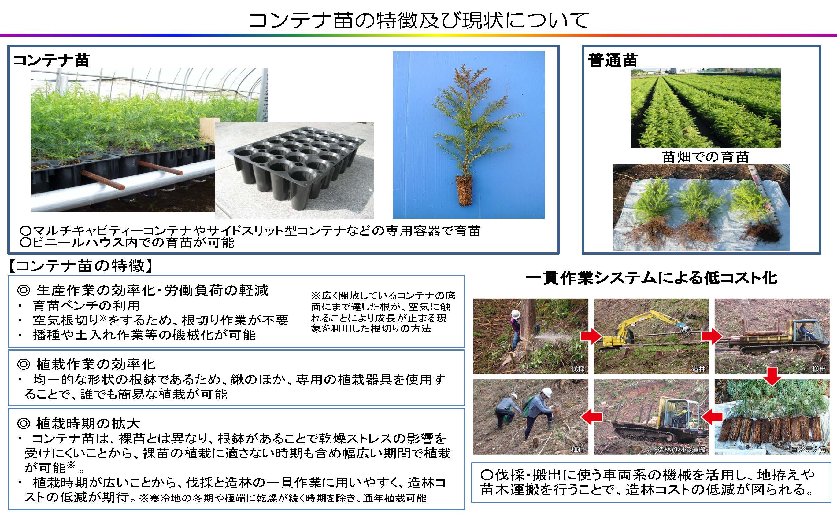 森林整備における種苗生産に対する支援策を更新しました