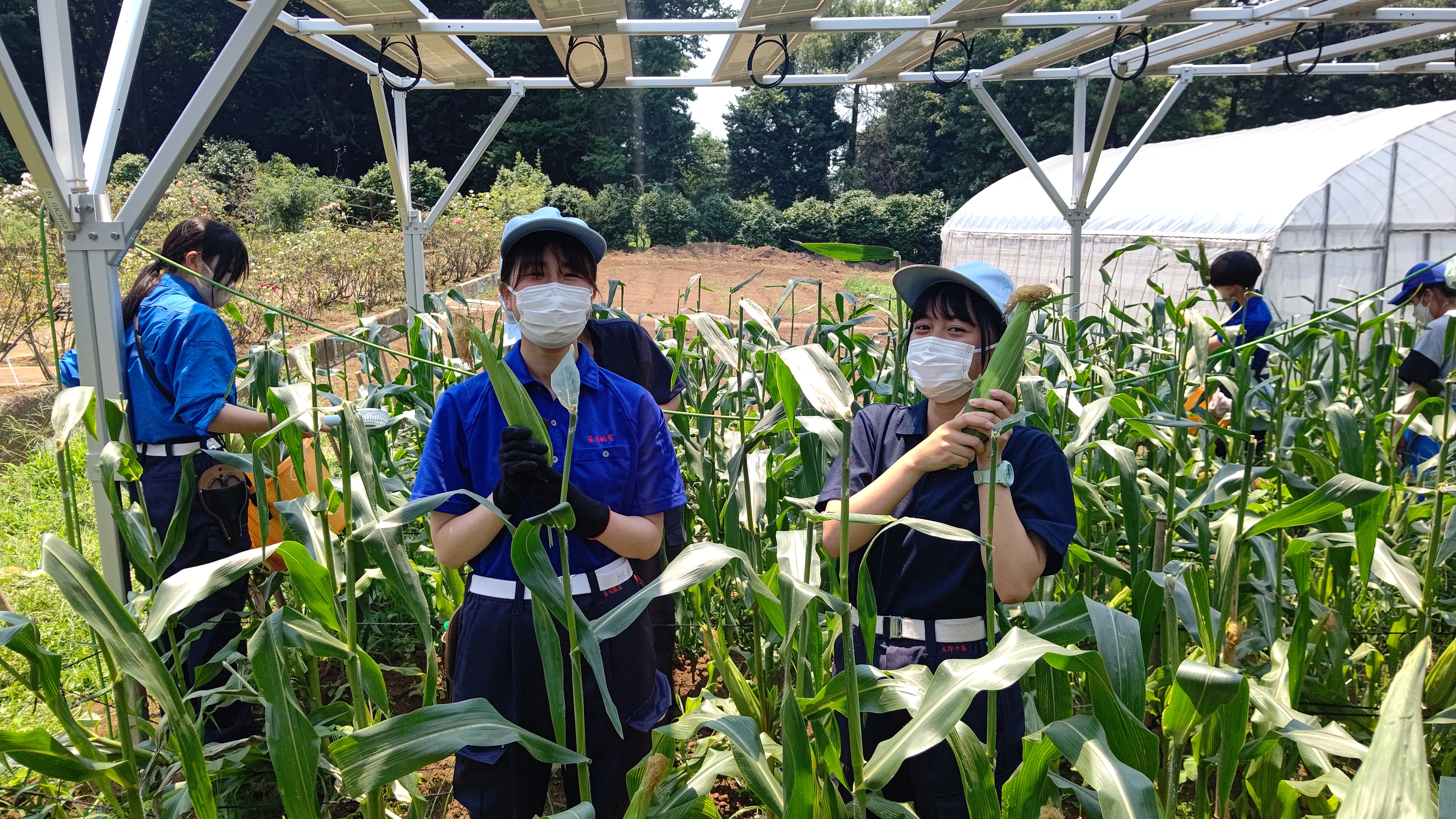 みどり戦略学生チャレンジ！未来の食を支える学生たちのイノベーション！