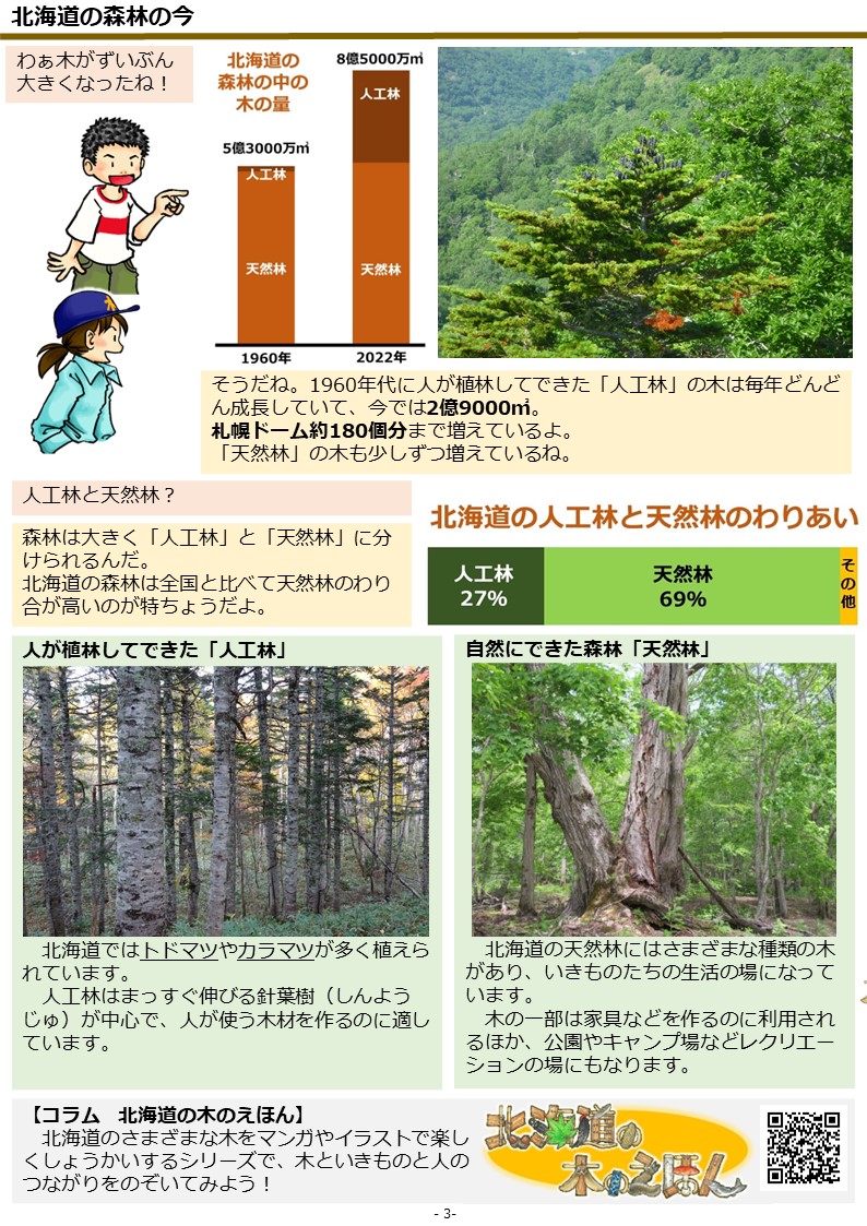 キッズページ「北海道の森林」を公開しました