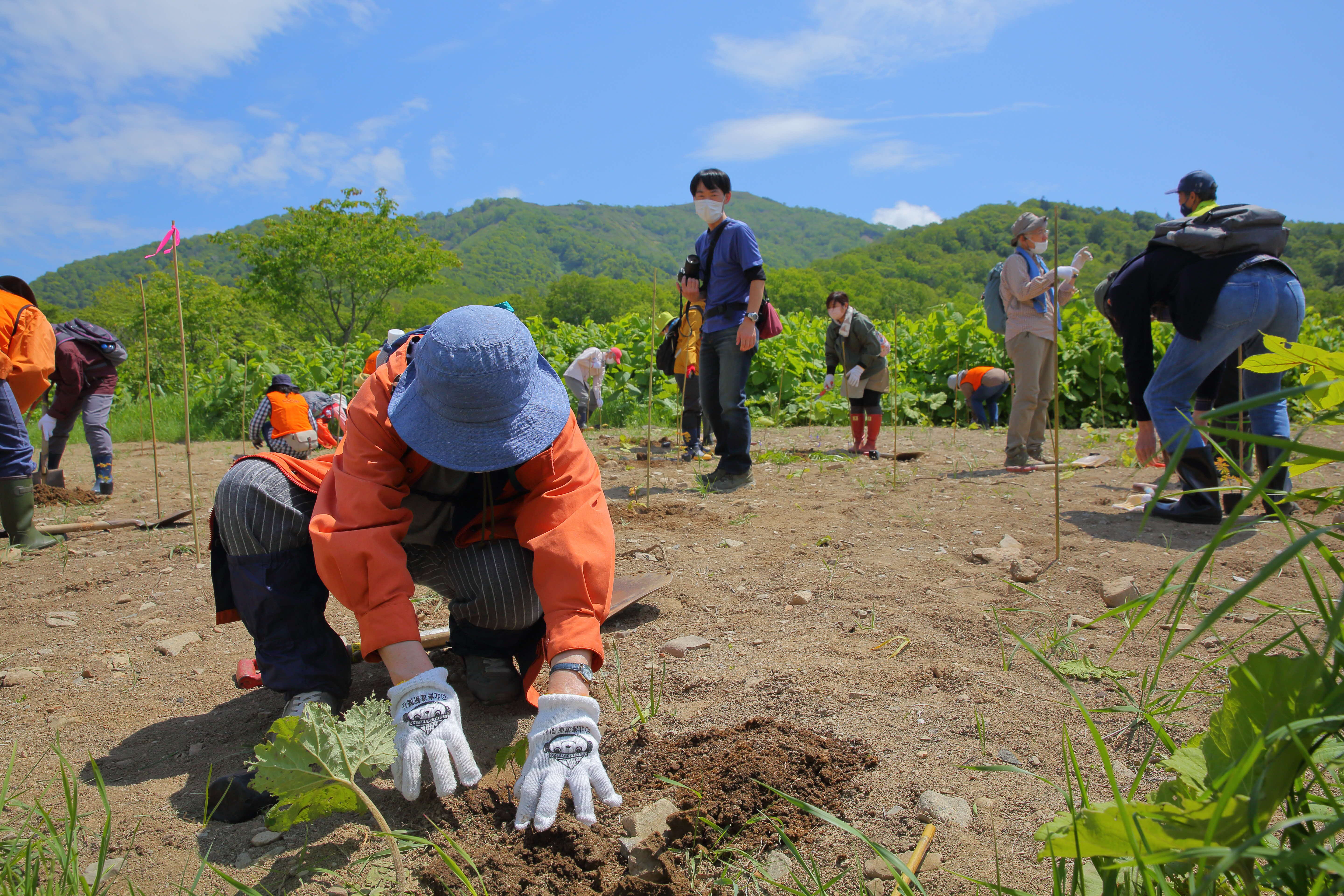 森林環境譲与税を活用した自治体の取組の紹介 Vol.11 北海道