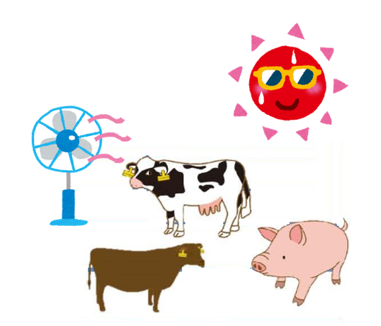 もうすぐ夏本番!家畜の暑熱対策は準備万端ですか?