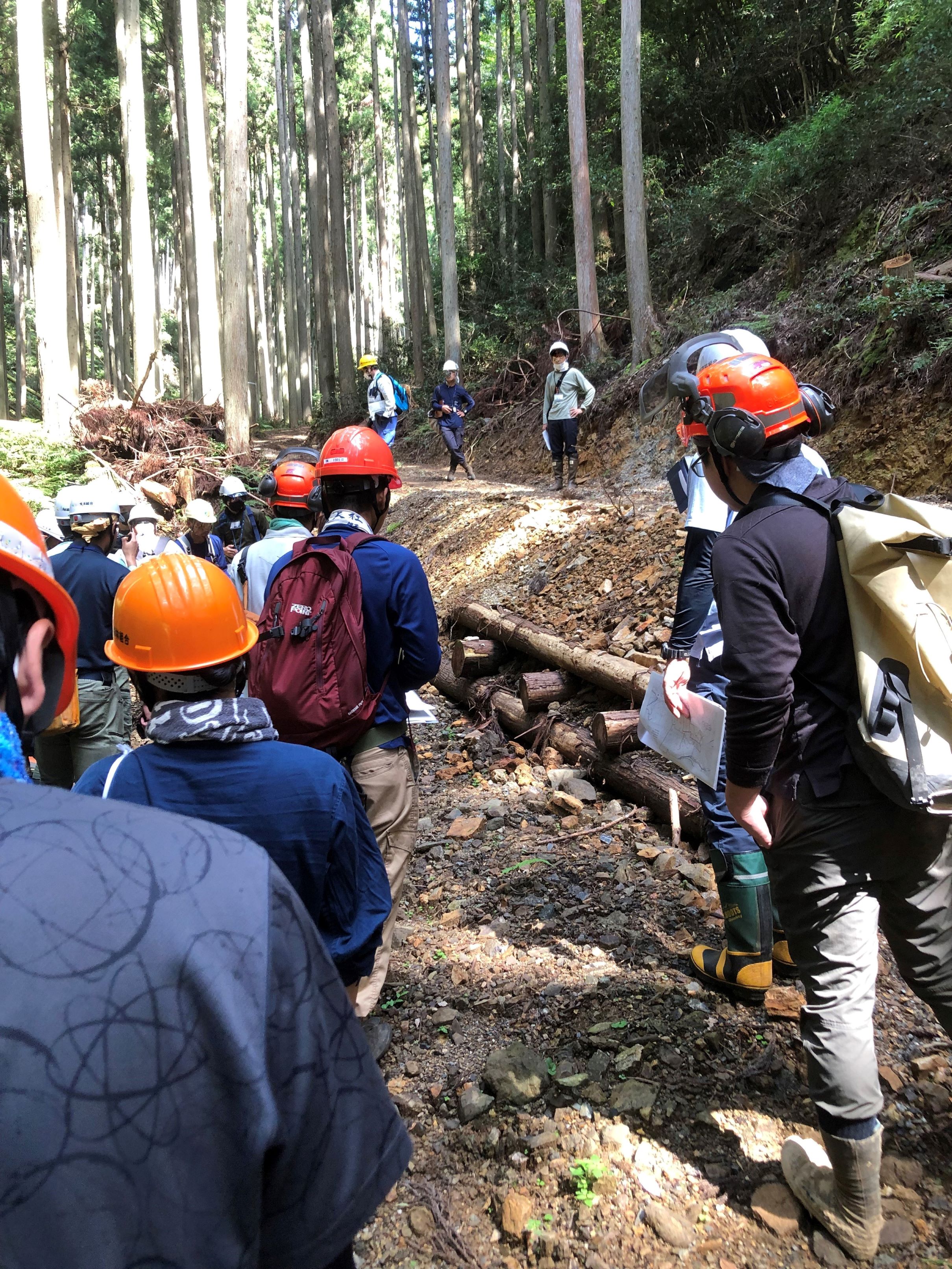 森林施業プランナー・森林経営プランナー育成のための研修を実施します