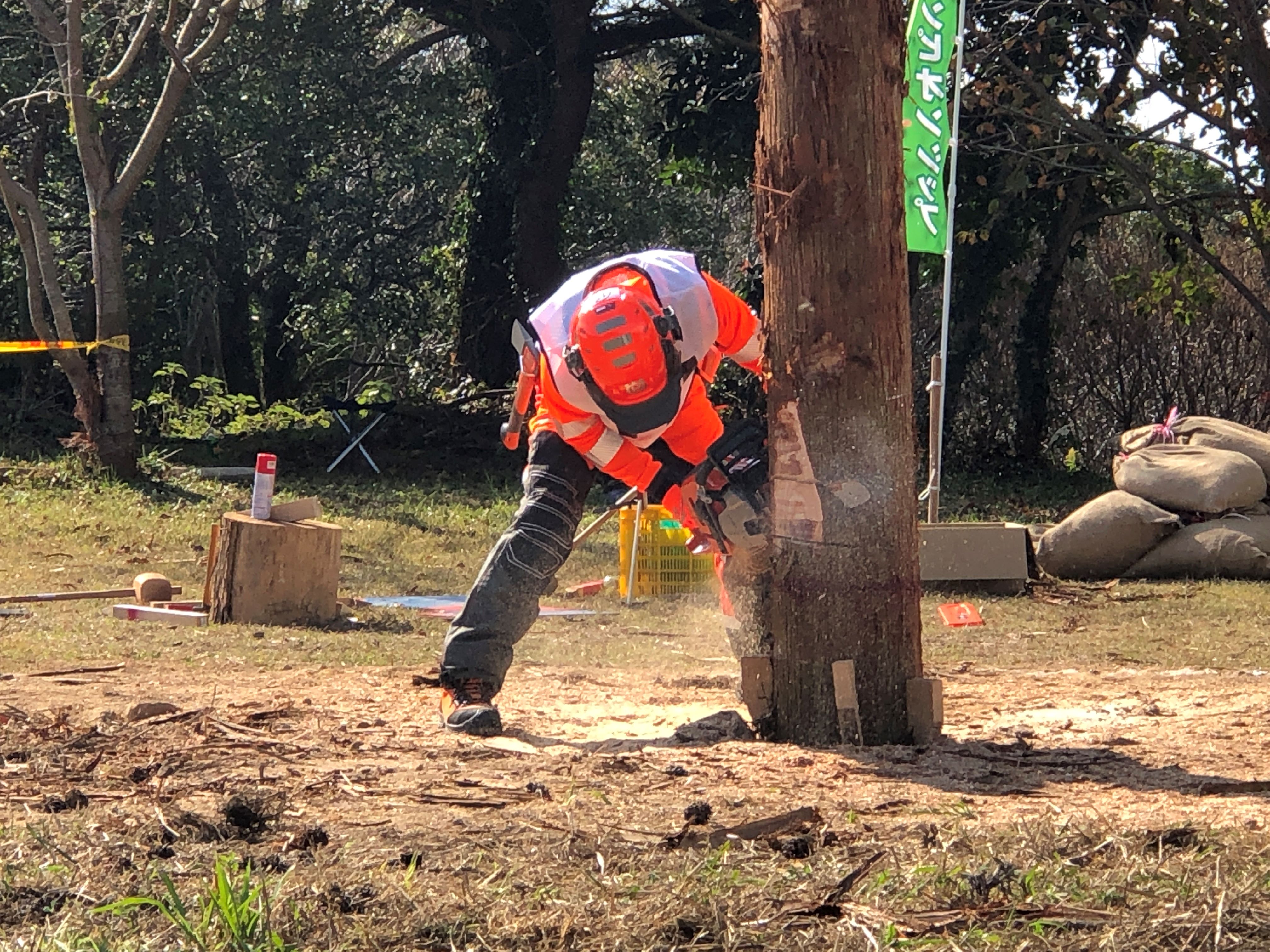 森林環境譲与税を活用した自治体の取組の紹介 Vol.9 長崎県