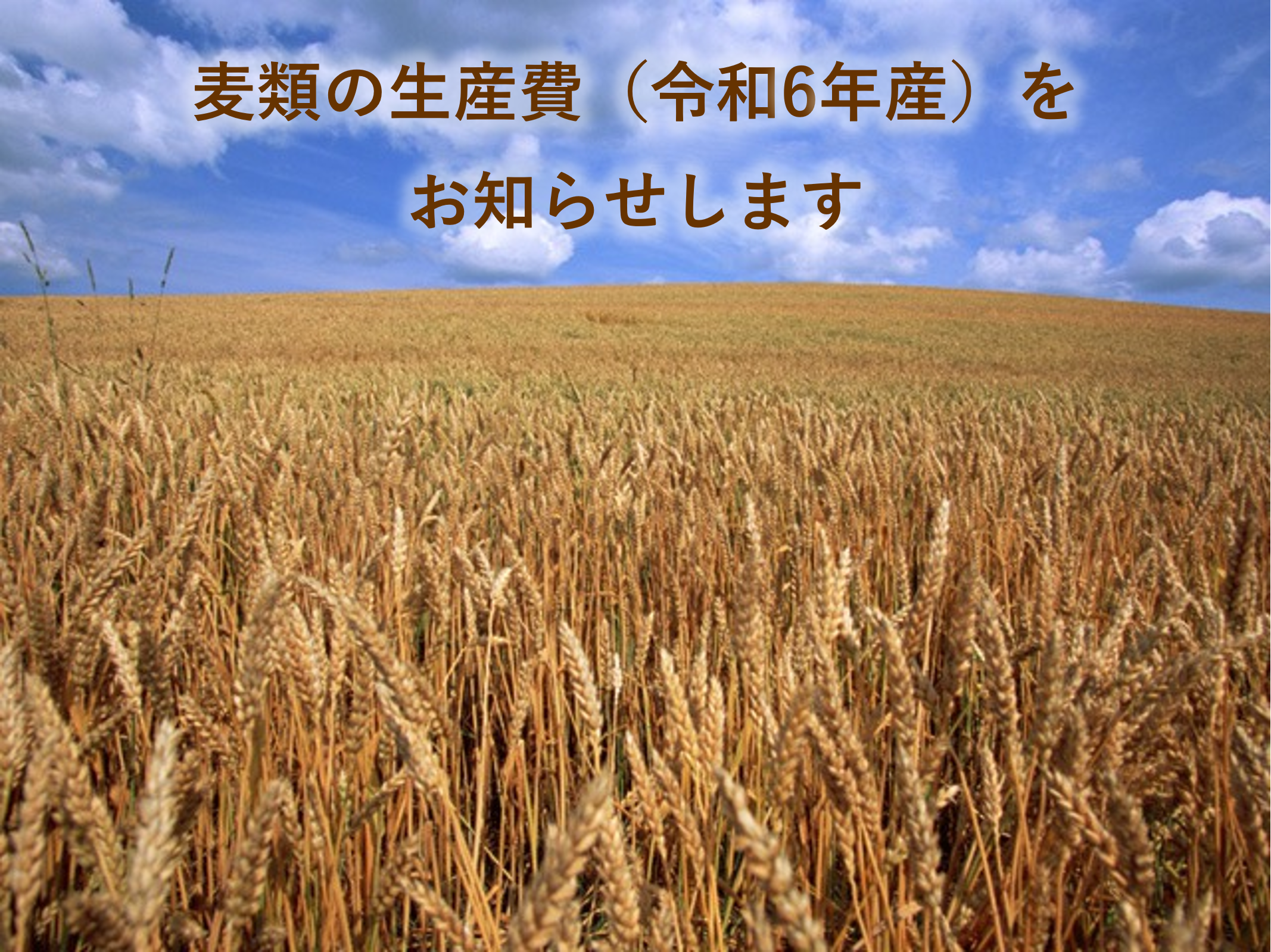 麦類の生産費(令和6年産)をお知らせします