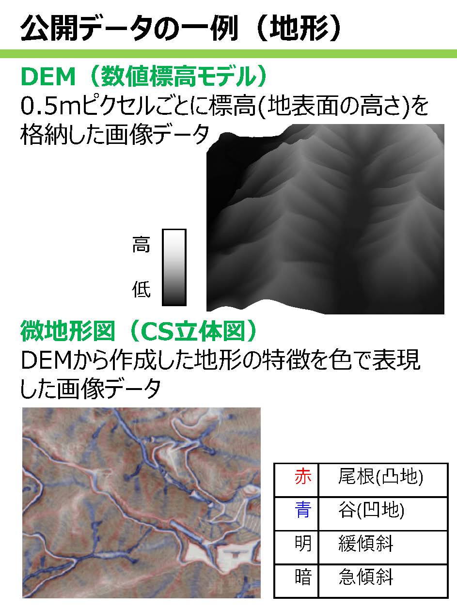 高精度な森林資源情報等の公開を開始しました