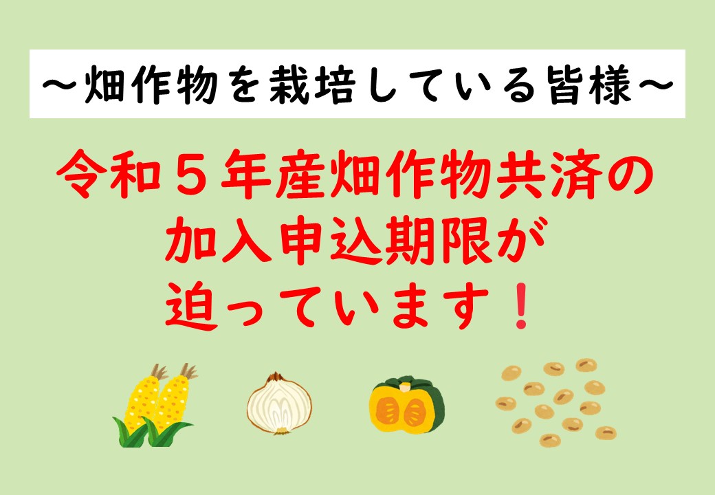 令和５年産の畑作物共済の加入申込期限が迫っています！