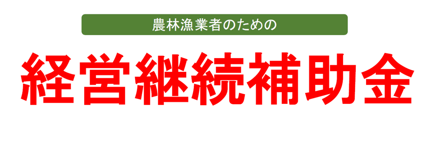 【行政手続オンライン化】　経営継続補助金の対応状況