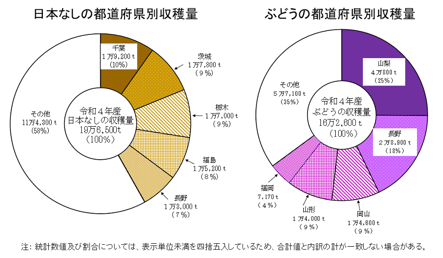 日本なし、ぶどうの収穫量及び出荷量（令和4年産）を公表しました