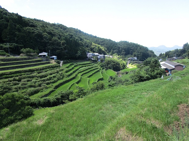 【大分県拠点】受け継がれる日本の原風景、棚田の石垣と石橋