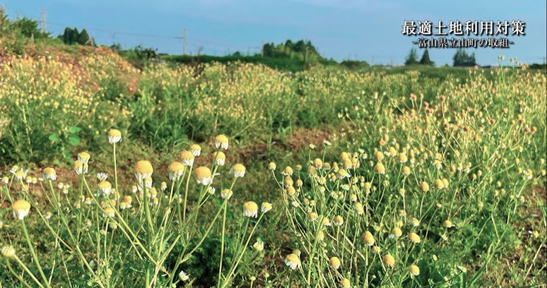 【事例動画】地域の農地が生まれ変わる！最適土地利用対策【富山県立山町編第2弾】