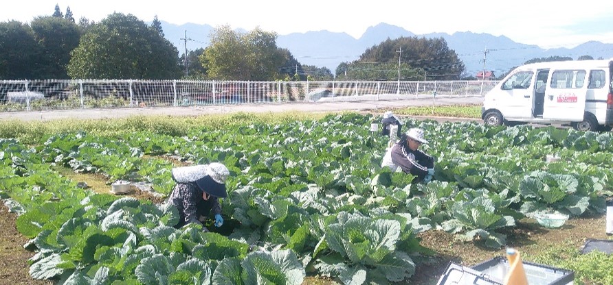 温室効果ガスを効果的に減らす施肥技術のご紹介