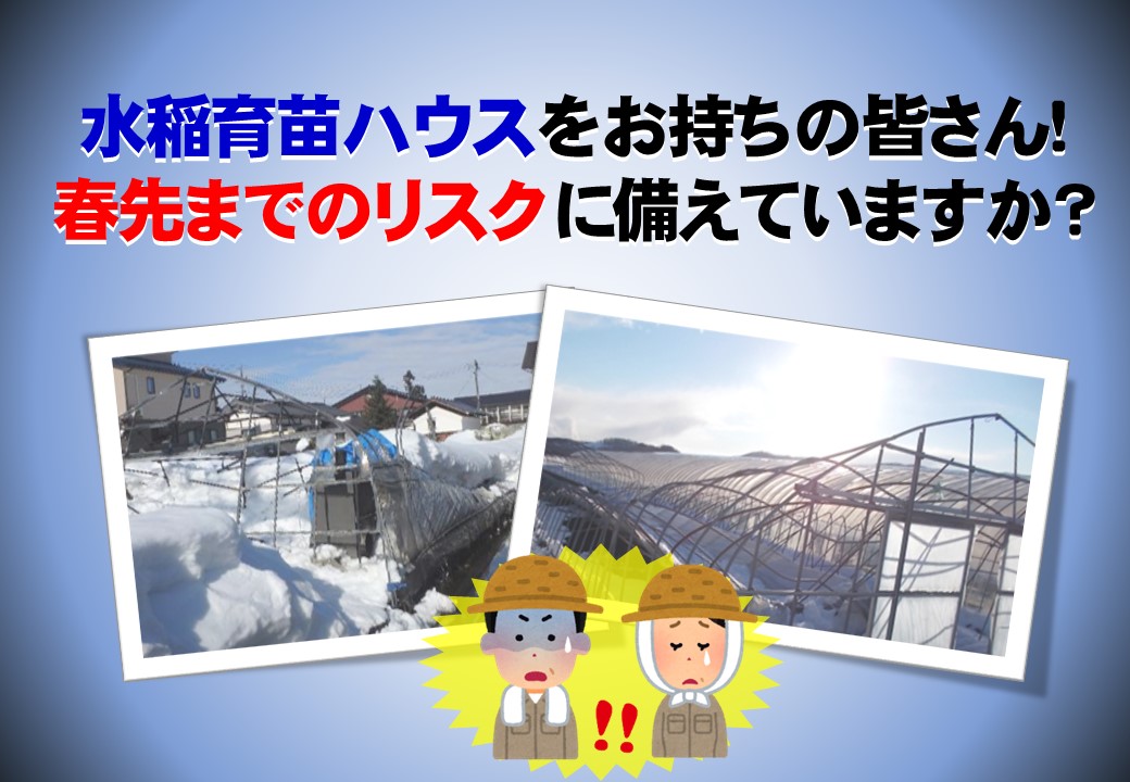 【農業保険】水稲育苗ハウスをお持ちの皆さん！春先までのリスクに備えていますか？