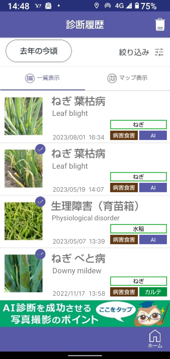 農業DX事例紹介⑬AI病害虫雑草診断アプリを活用して生産性を向上