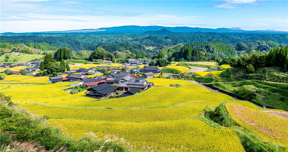 【熊本県】実りの棚田風景画像をご紹介します！