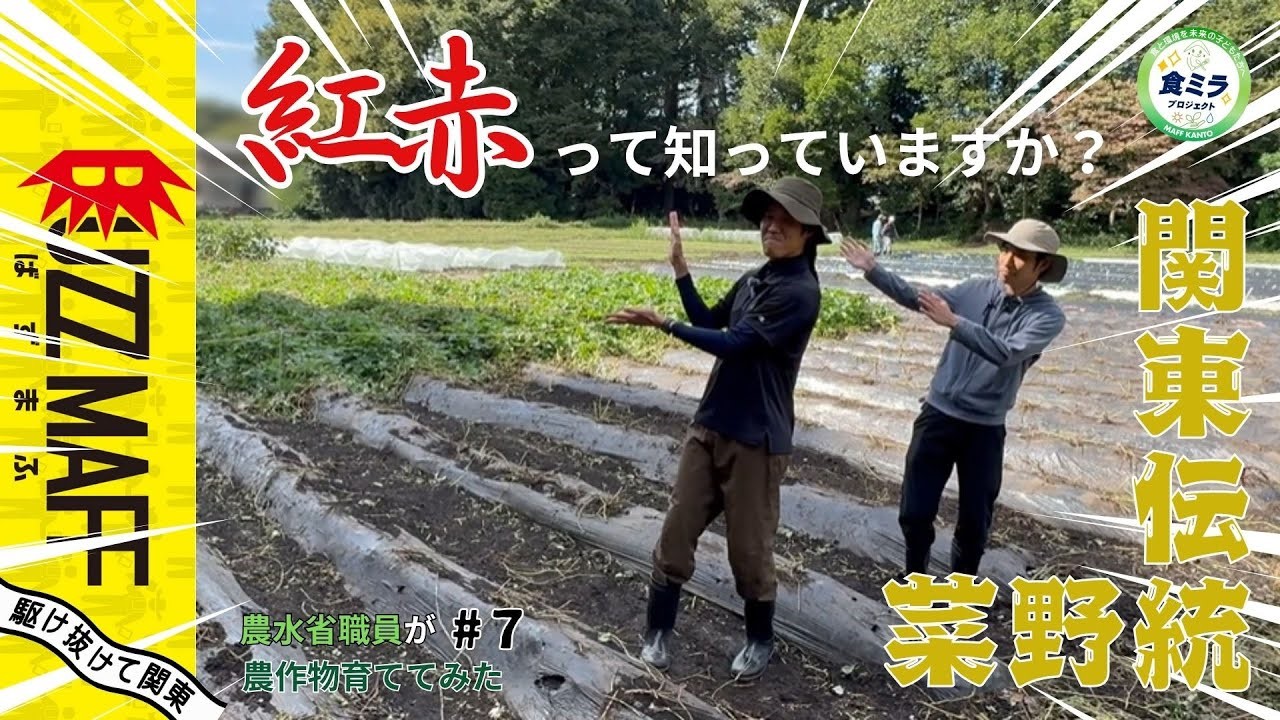 BUZZMAFF「紅赤って知っていますか？」【関東農政局】公開中！