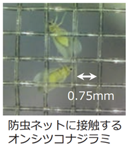 「みどりの食料システム戦略」技術カタログ紹介：園芸施設への微小害虫の侵入を抑制する新防虫ネットのご紹介