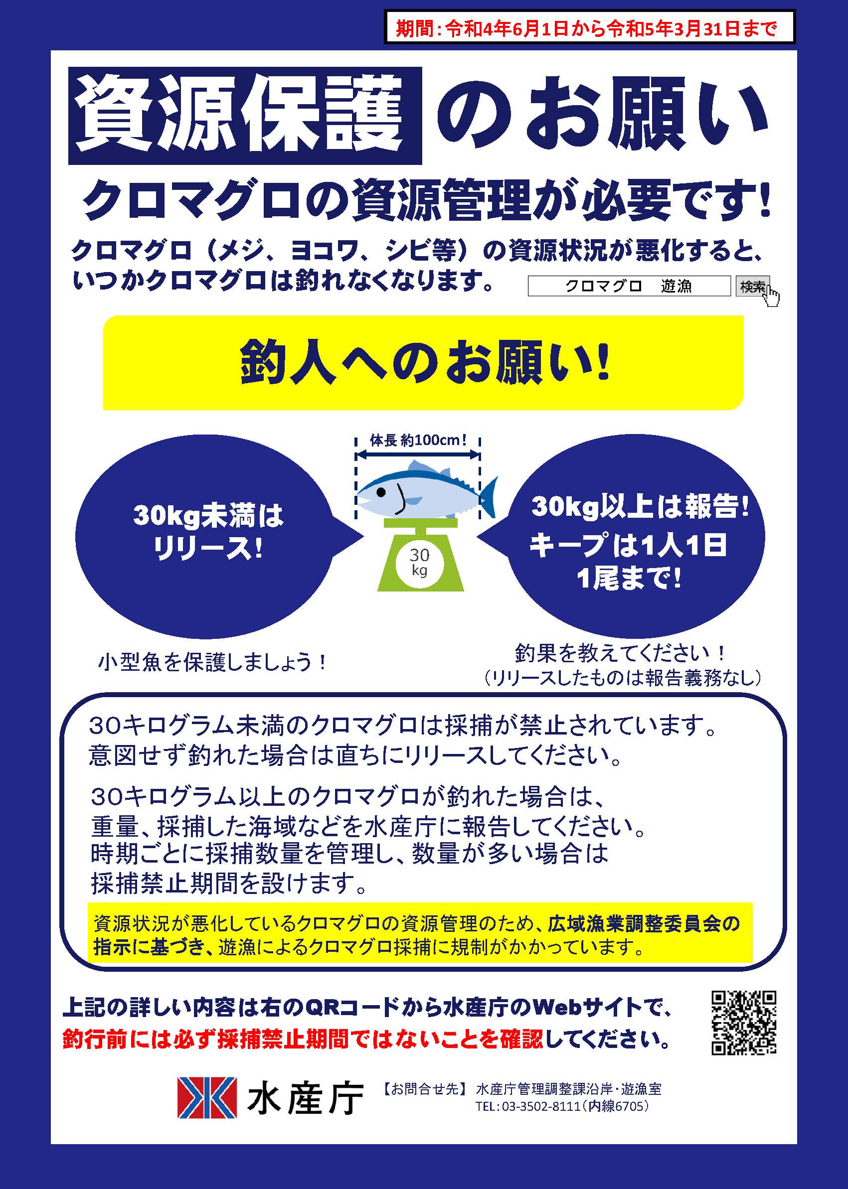 【クロマグロ遊漁】ポスターを作成しました