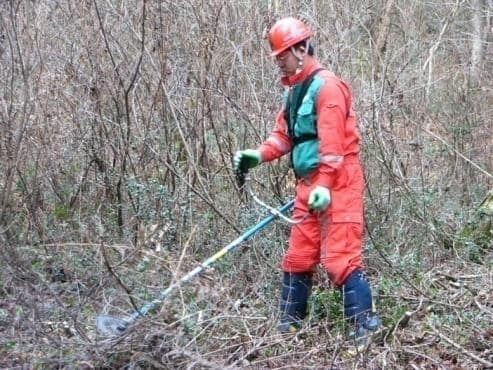 「林業労働力の確保の促進に関する基本方針」の変更について