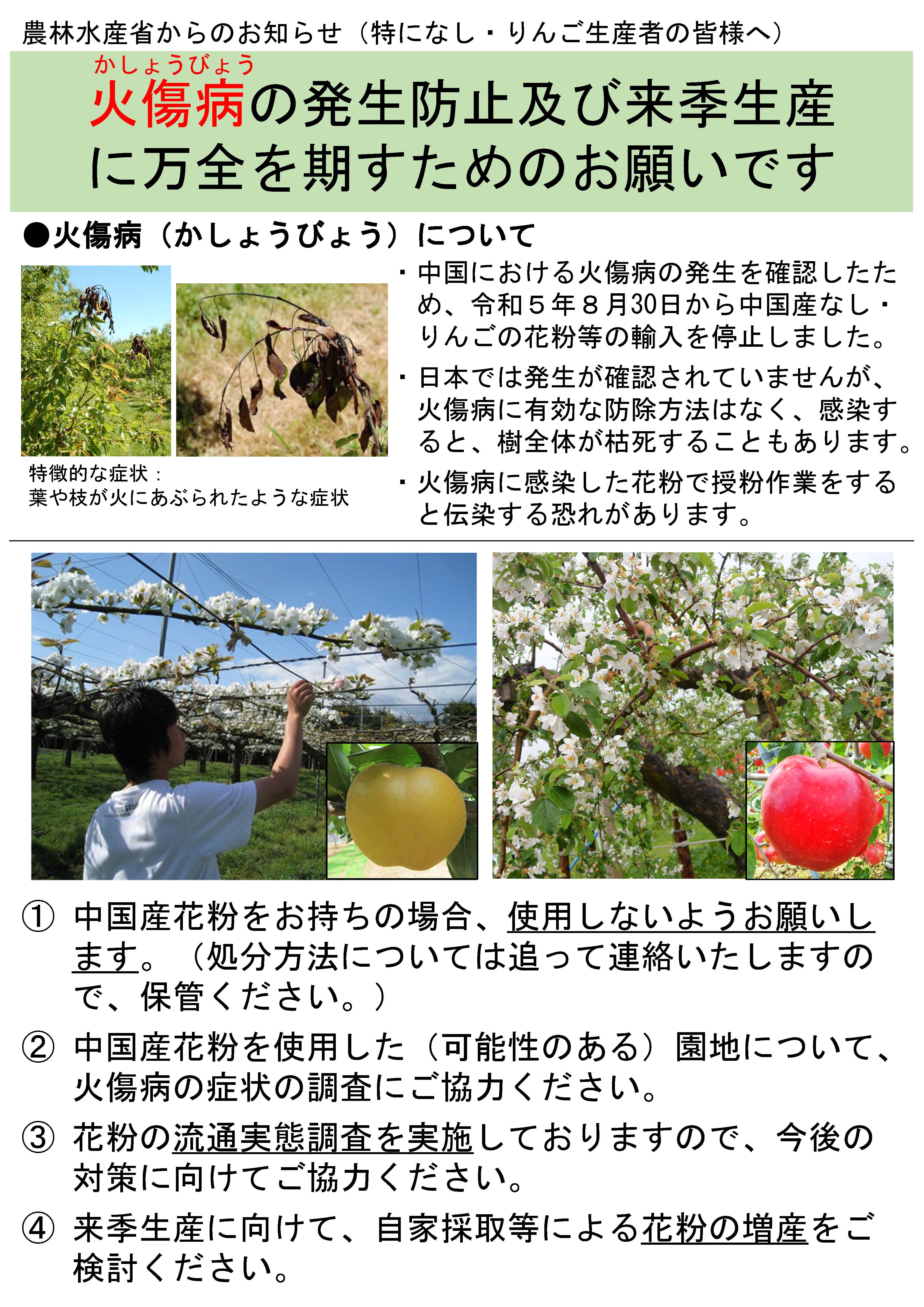 【なし・りんご生産者の皆様へ】中国における火傷病発生に伴う対応
