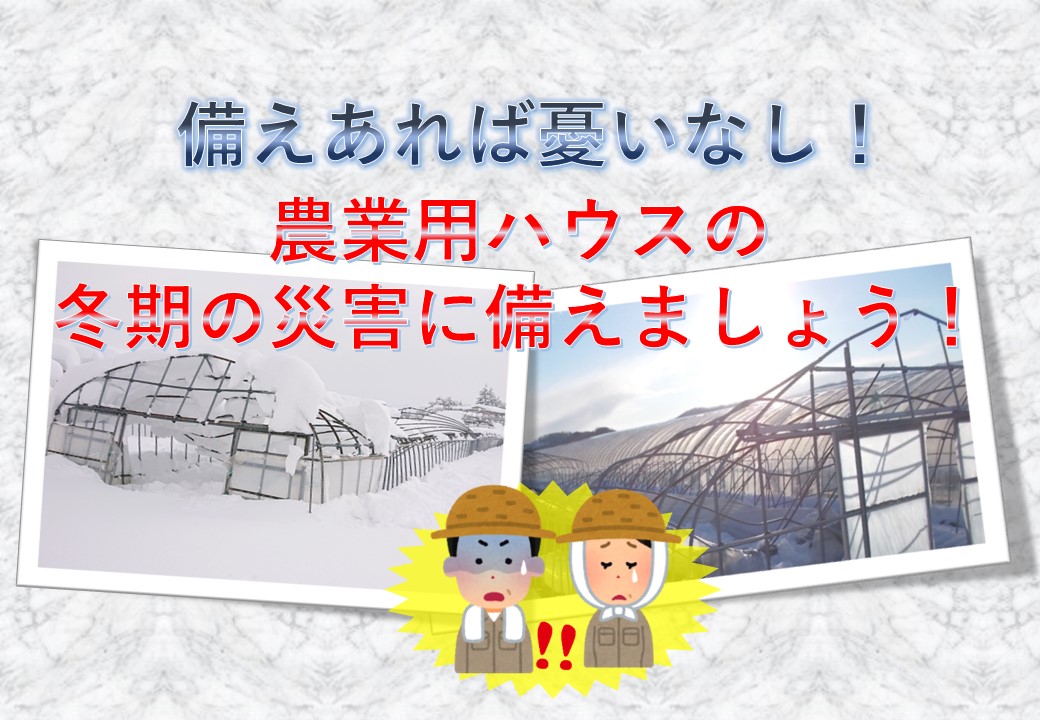 農業用ハウスをお持ちの農家のみなさん！冬期の災害に備えましょう！