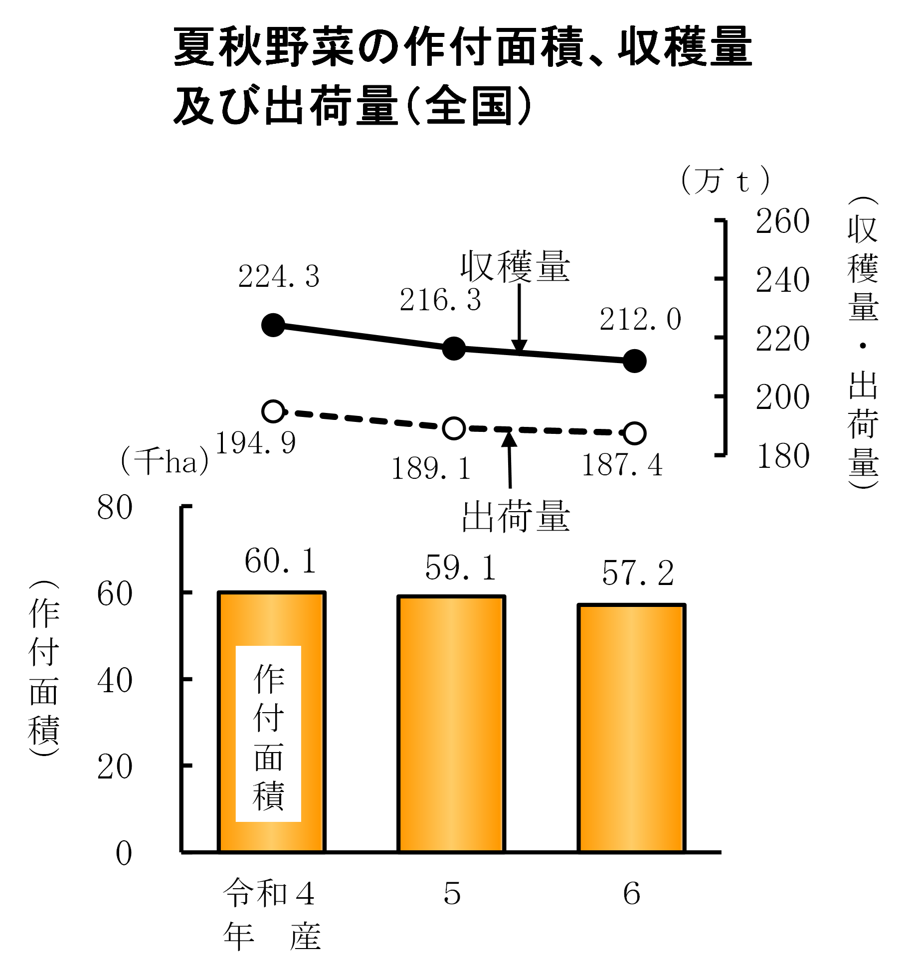 春野菜、夏秋野菜、たまねぎの収穫量等(令和6年産)をお知らせします