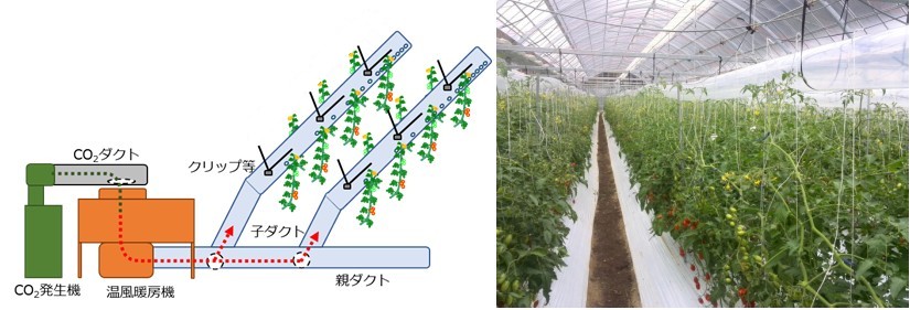 選ばれたのは…！？「最新農業技術・品種2021選定成果のご案内」 vol.5