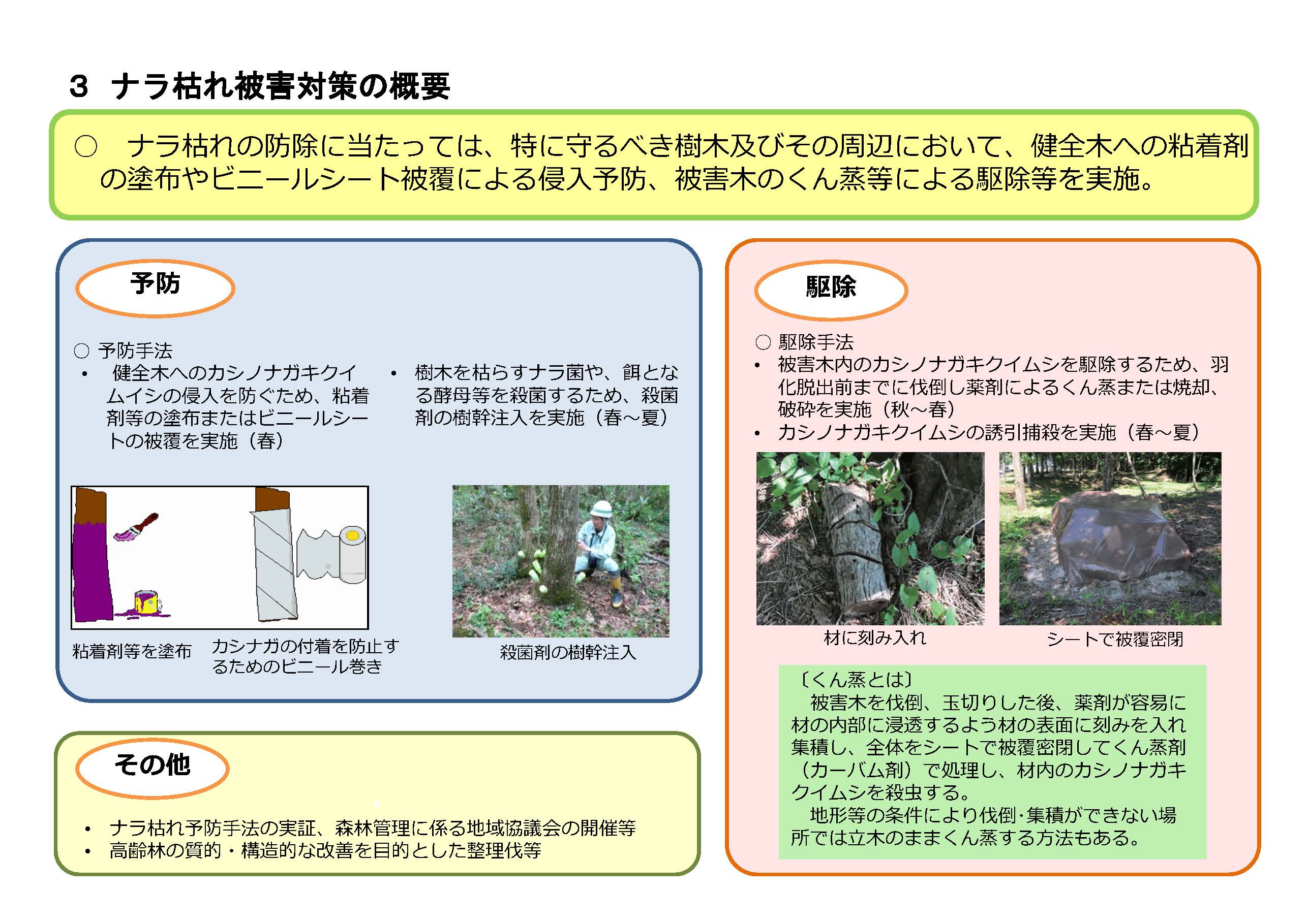 松くい虫及びナラ枯れ被害の状況をまとめた資料を公表しました