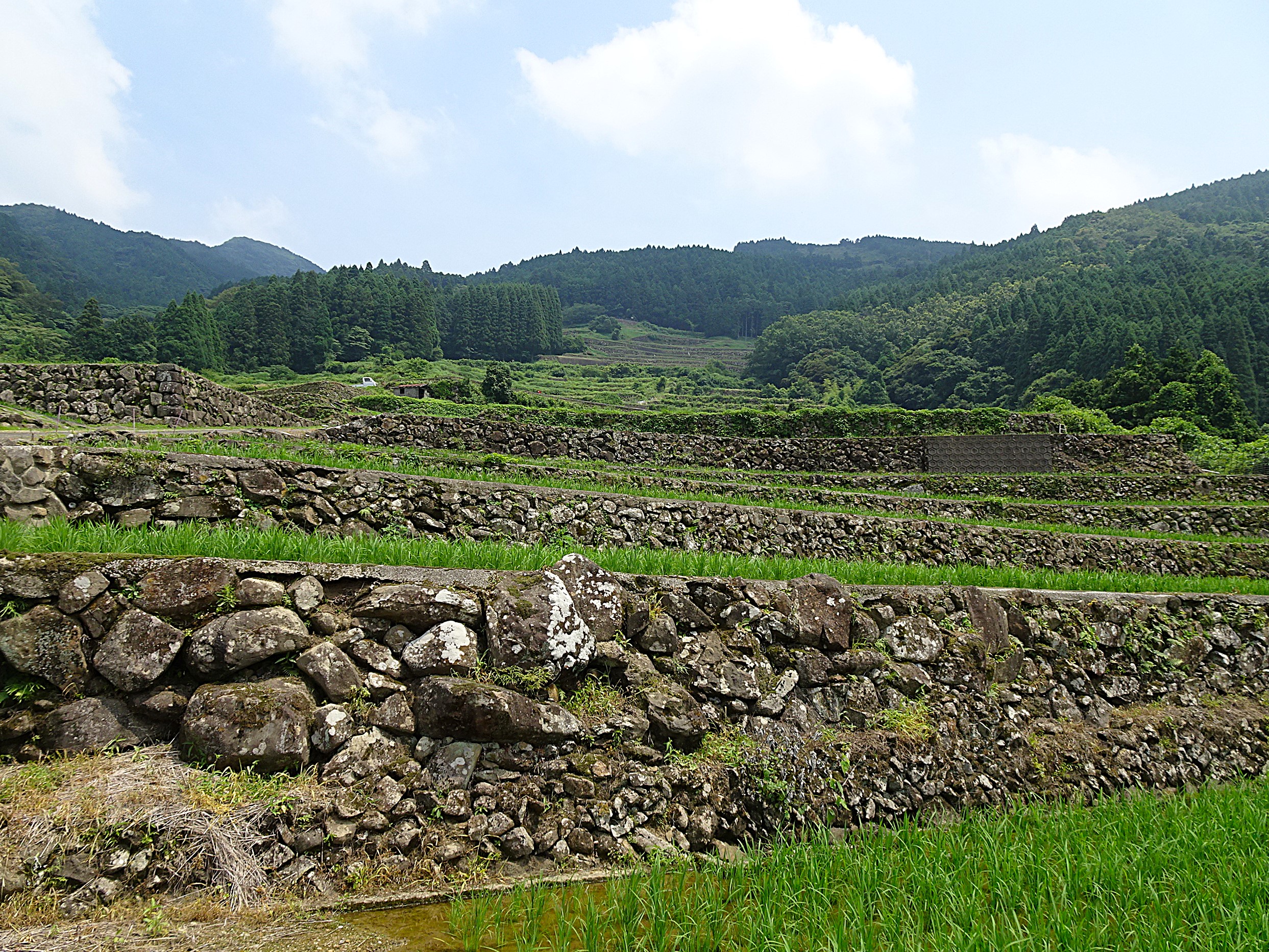 つなぐ棚田遺産「蕨野（わらびの）の棚田」をご紹介（佐賀県唐津市相知町）