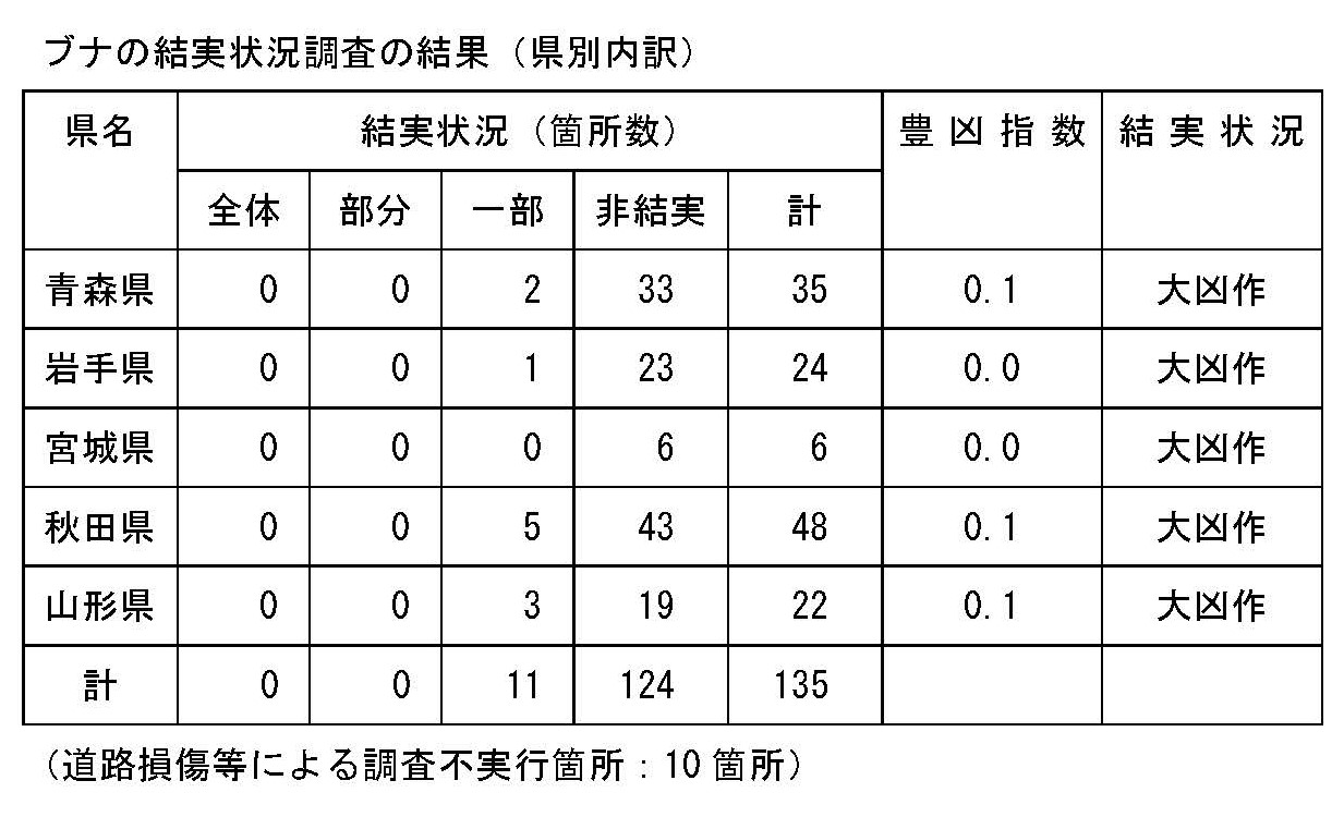 令和5年度のブナの結実状況の調査結果を公表しました