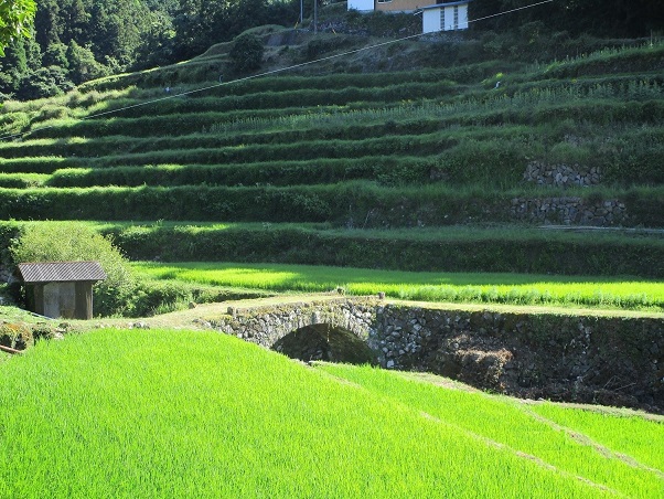 【大分県拠点】受け継がれる日本の原風景、棚田の石垣と石橋