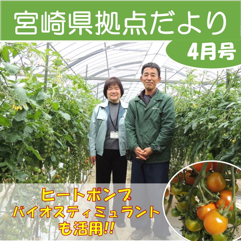 「宮崎県拠点だより №46  4月号」を発行しました！