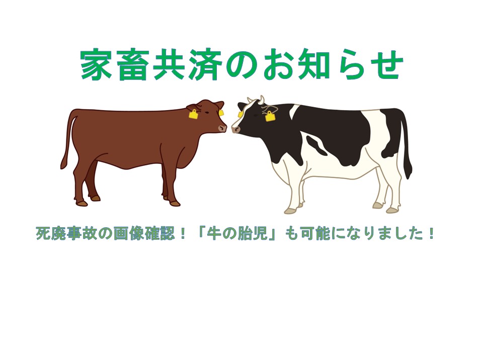 【畜産経営者の皆様へ】牛の胎児についても画像による死亡廃用共済の損害確認ができるようになりました！