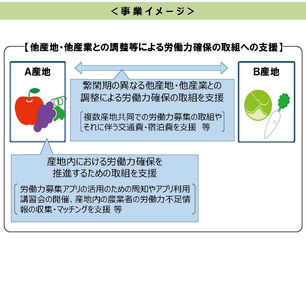 労働力確保に取り組む産地を応援します（令和４年度第２次補正予算）