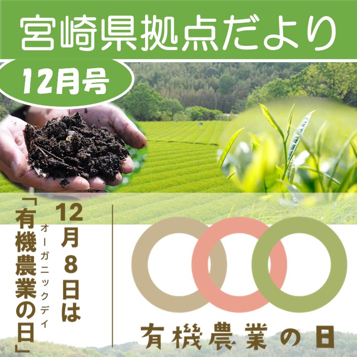 「宮崎県拠点だより No.54 12月号」を発行しました！