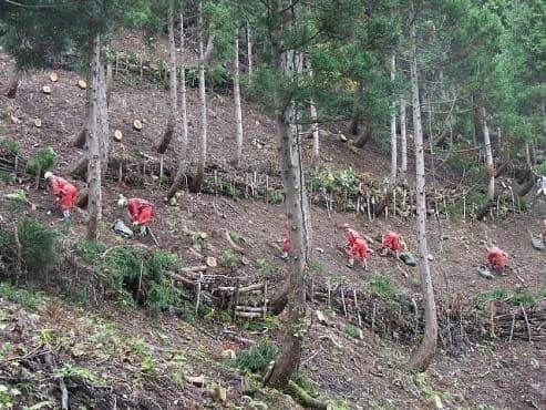 「林業労働力の確保の促進に関する基本方針」の変更について