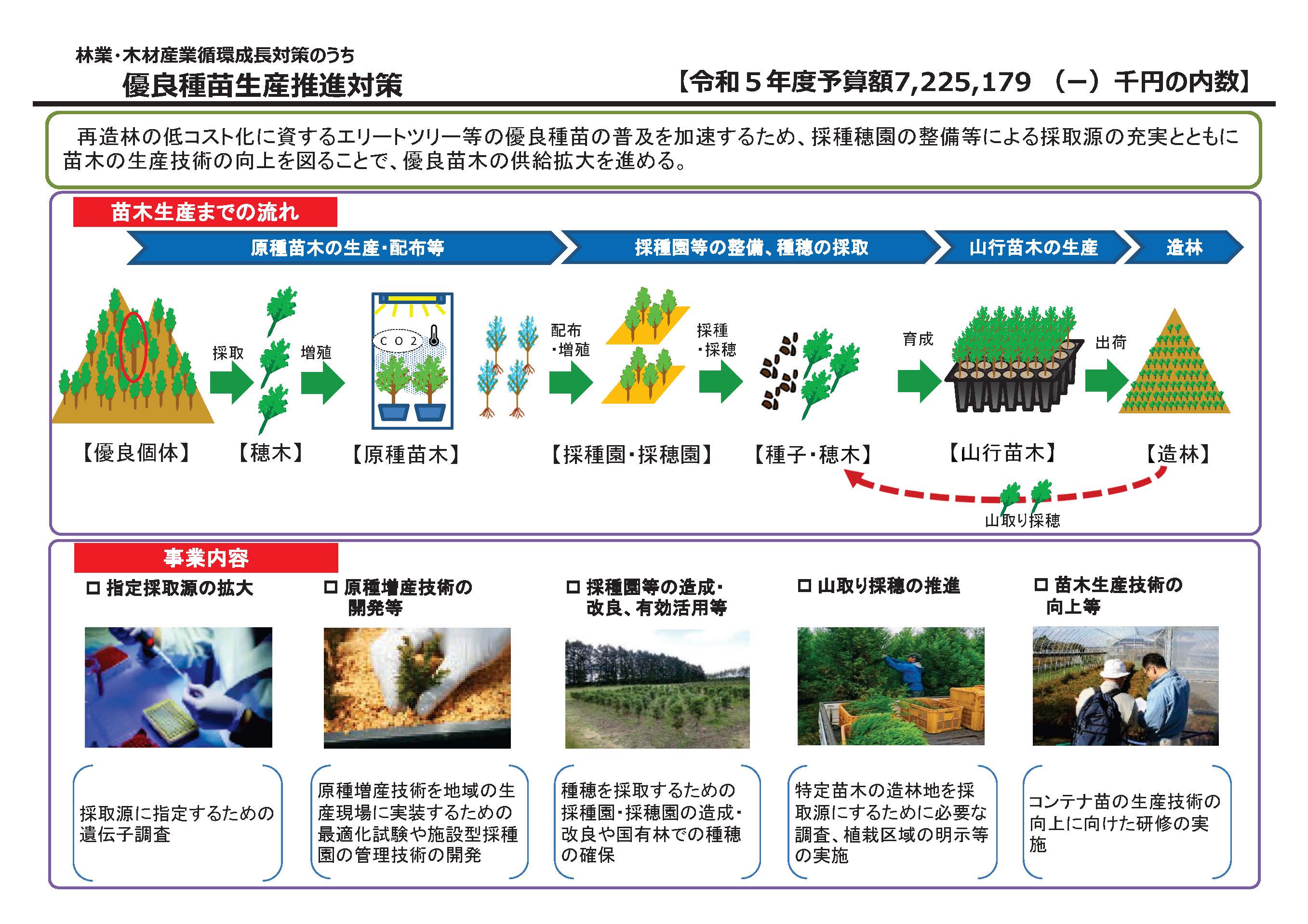 森林整備における種苗生産に対する支援策を更新しました