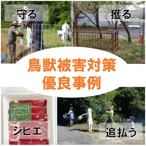 地域の鳥獣被害対策の事例を紹介しています！