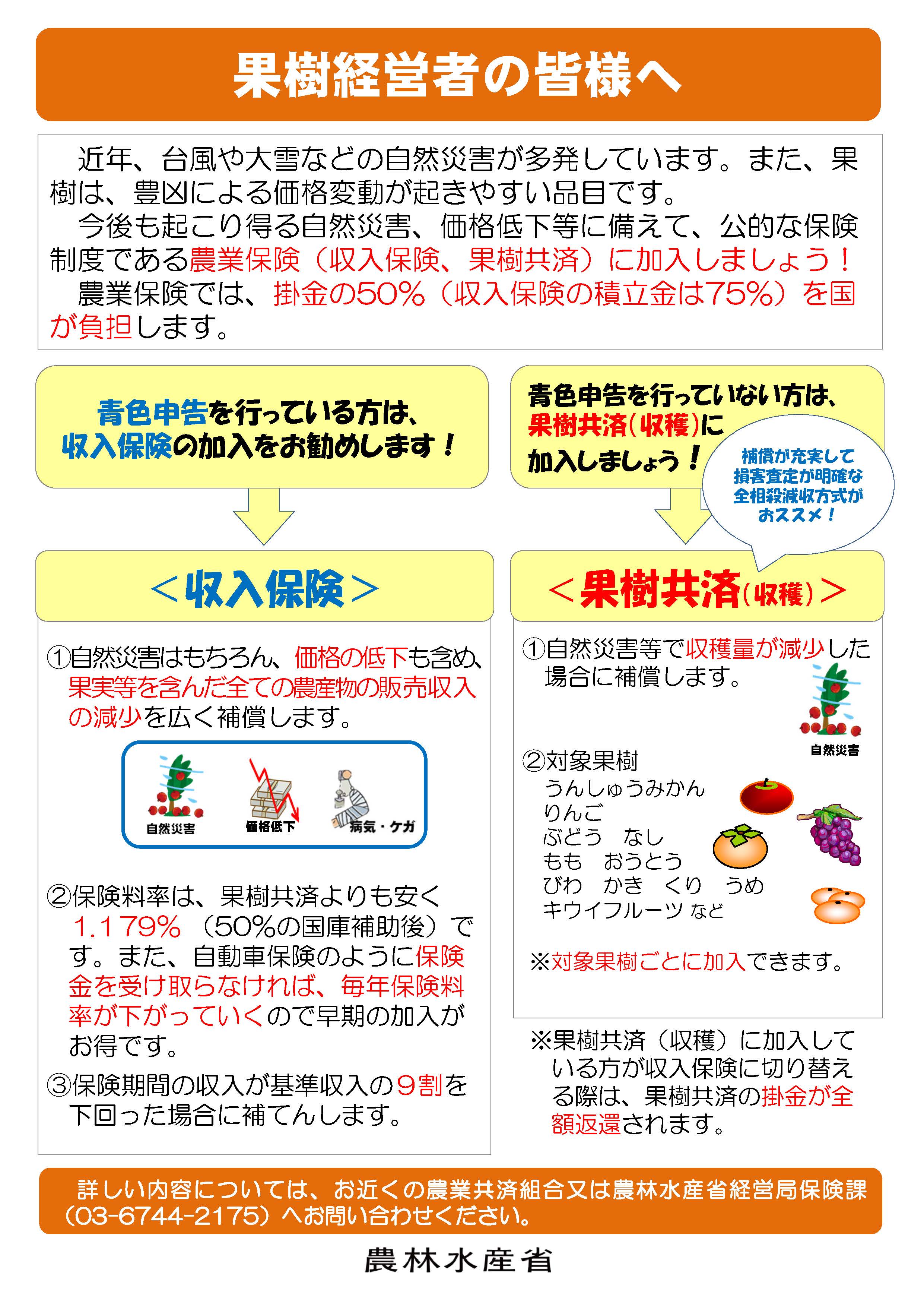 びわを栽培している皆様　自然災害等に備えて農業保険に加入しましょう！