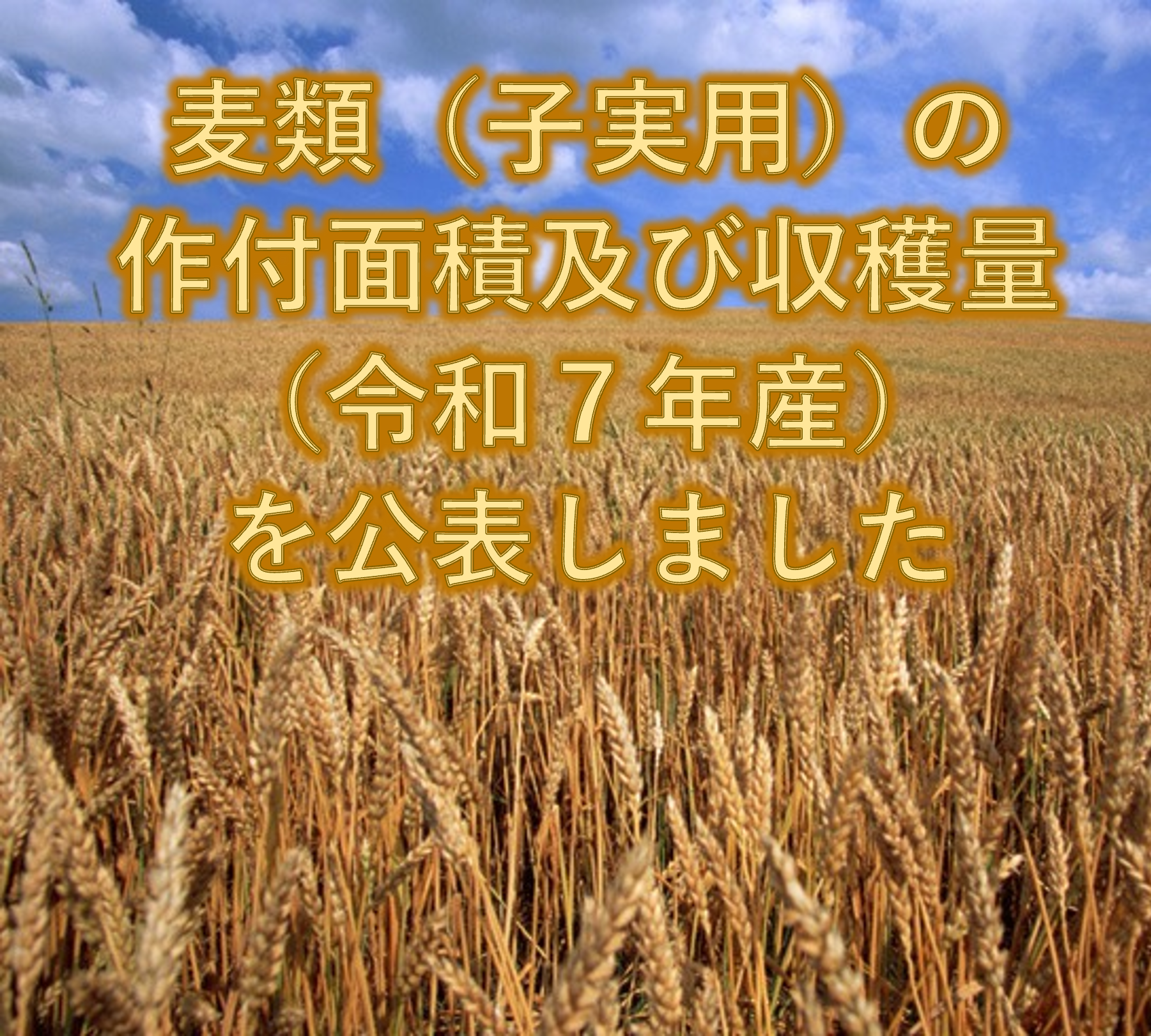 麦類(子実用)の作付面積及び収穫量(令和7年産)を公表しました