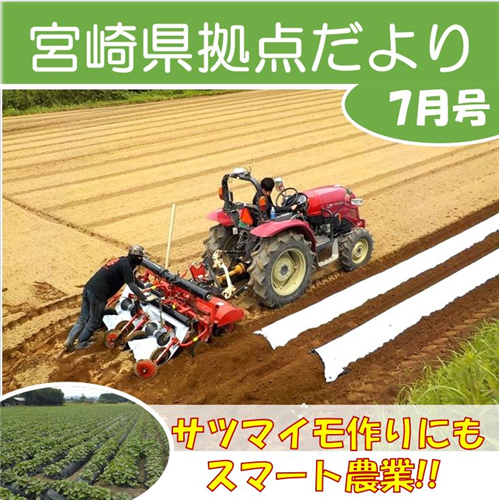 「宮崎県拠点だより №49 7月号」を発行しました！