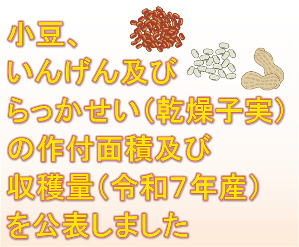 小豆、いんげん及びらっかせい（乾燥子実）の作付面積及び収穫量（令和7年産）を公表しました