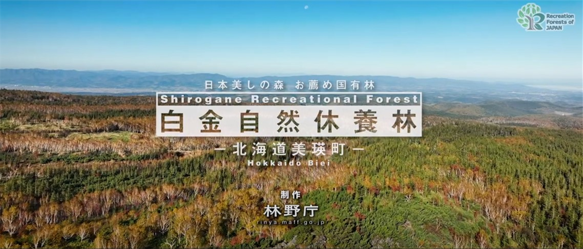 「日本美しの森 お薦め国有林」の魅力あふれる映像を追加しました