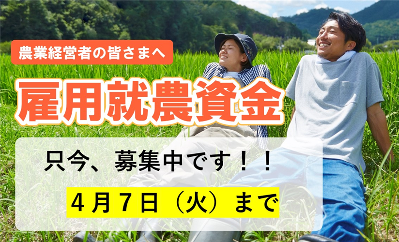 【雇用就農資金の募集】50歳未満の就農希望者の新規雇用を応援します!