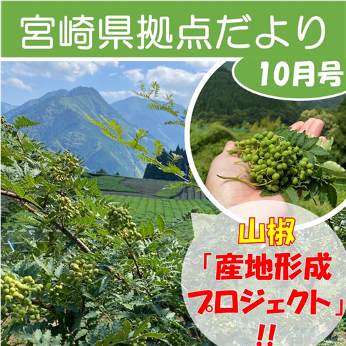 「宮崎県拠点だより No.52 10月号」を発行しました！