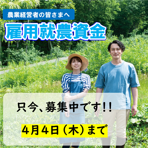 【雇用就農資金の募集開始】50歳未満の就農希望者を新たに雇用する皆様を応援します！