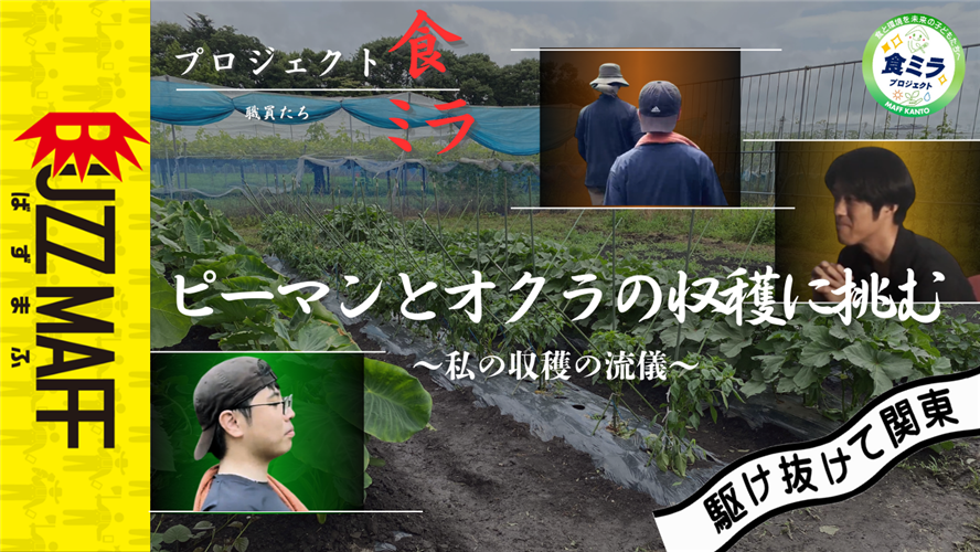 BUZZMAFF【ピーマンとオクラの収穫に挑む～私の収穫の流儀～】公開中！