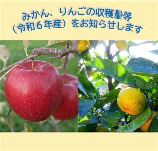 みかん、りんごの収穫量等（令和6年産）をお知らせします