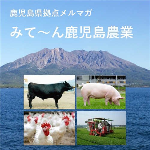 鹿児島県拠点メルマガ第21号発行